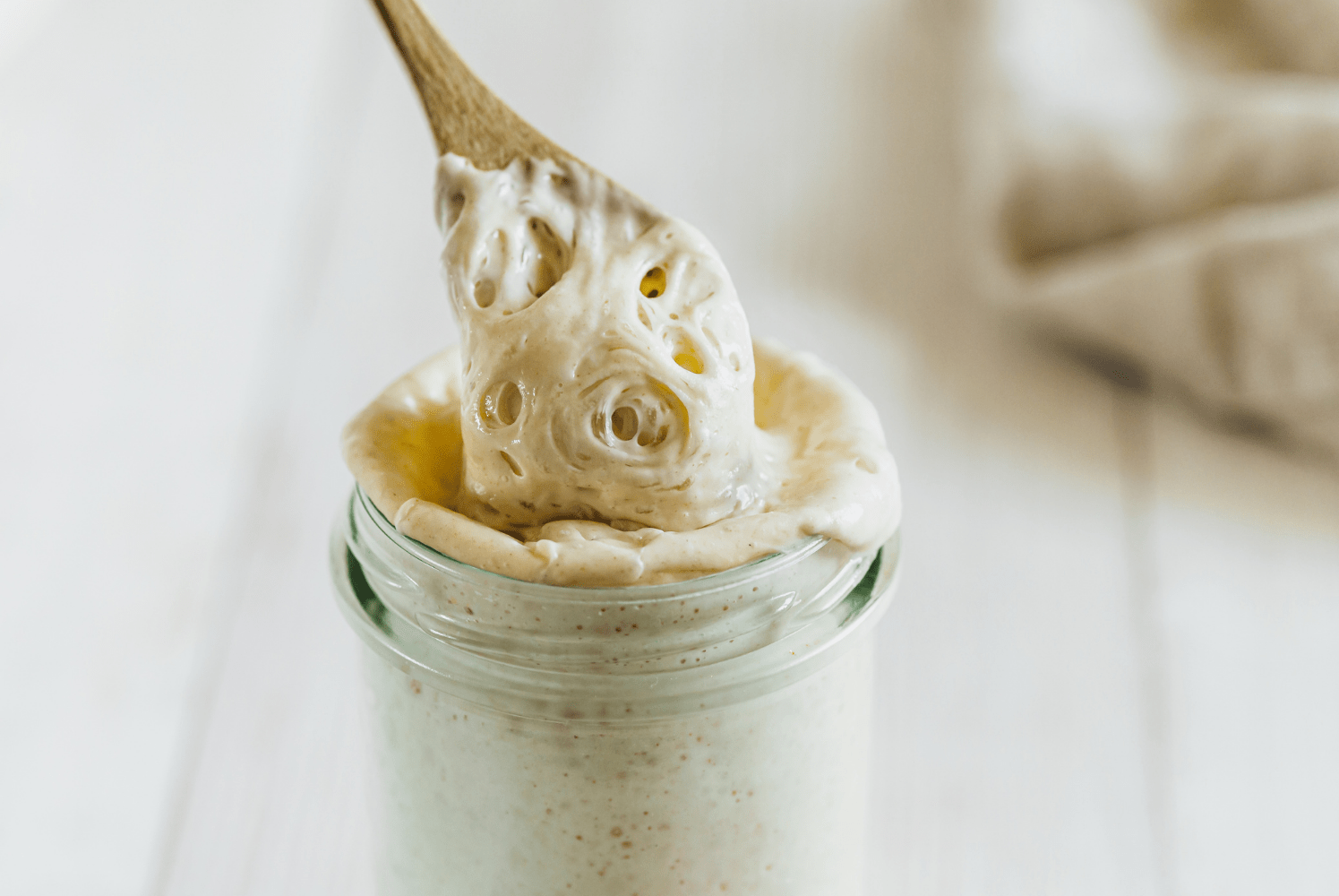 Sourdough Bread Starter