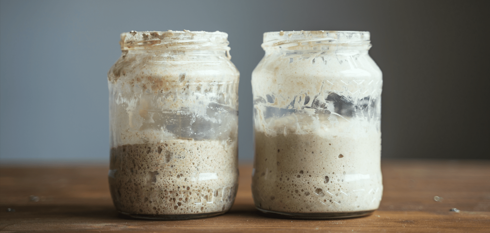 Frequently Asked Questions About Sourdough Starters (Part One)