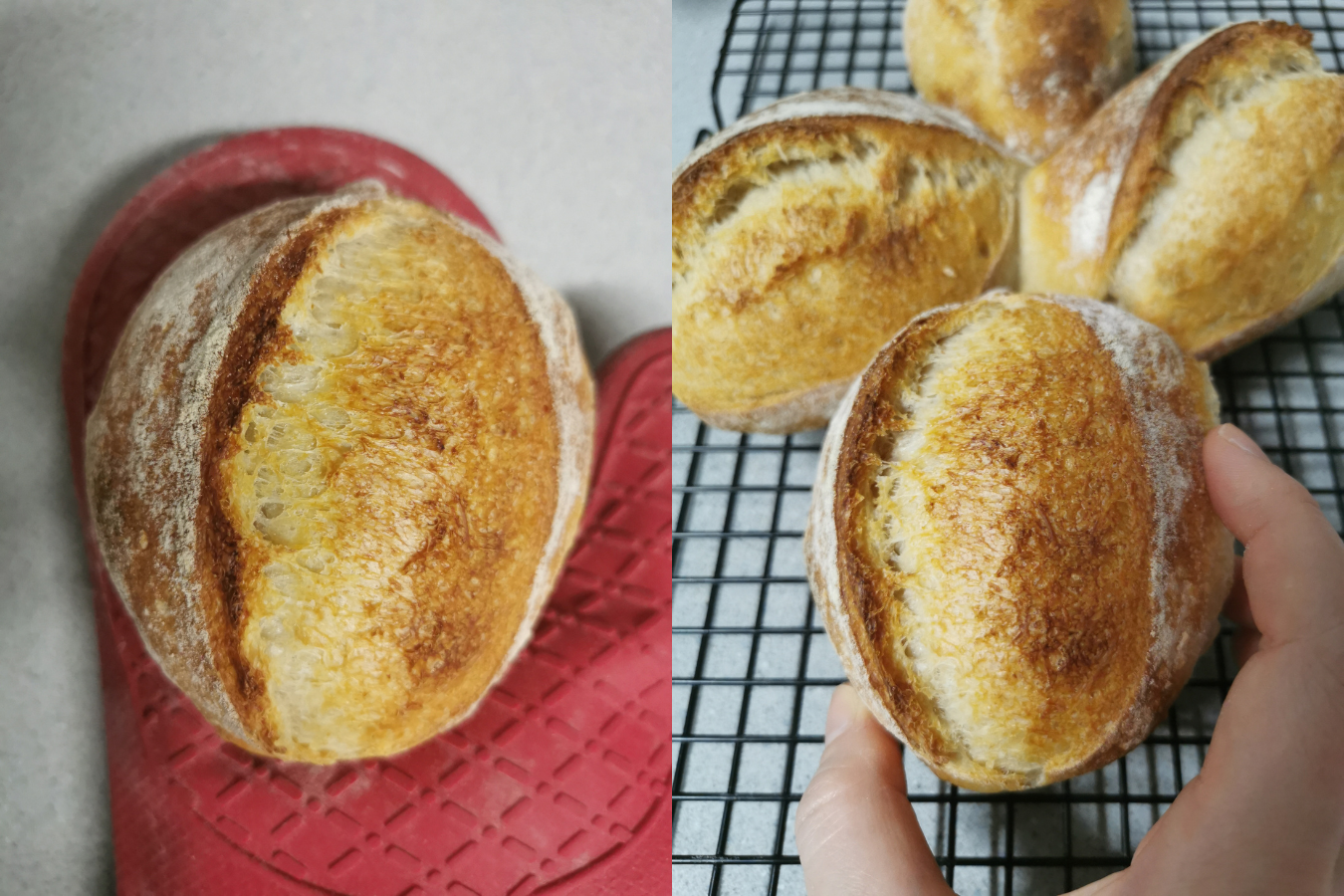 sourdough batard bread roll