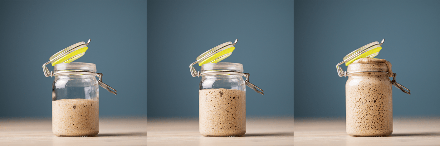 a jar of active sourdough starter