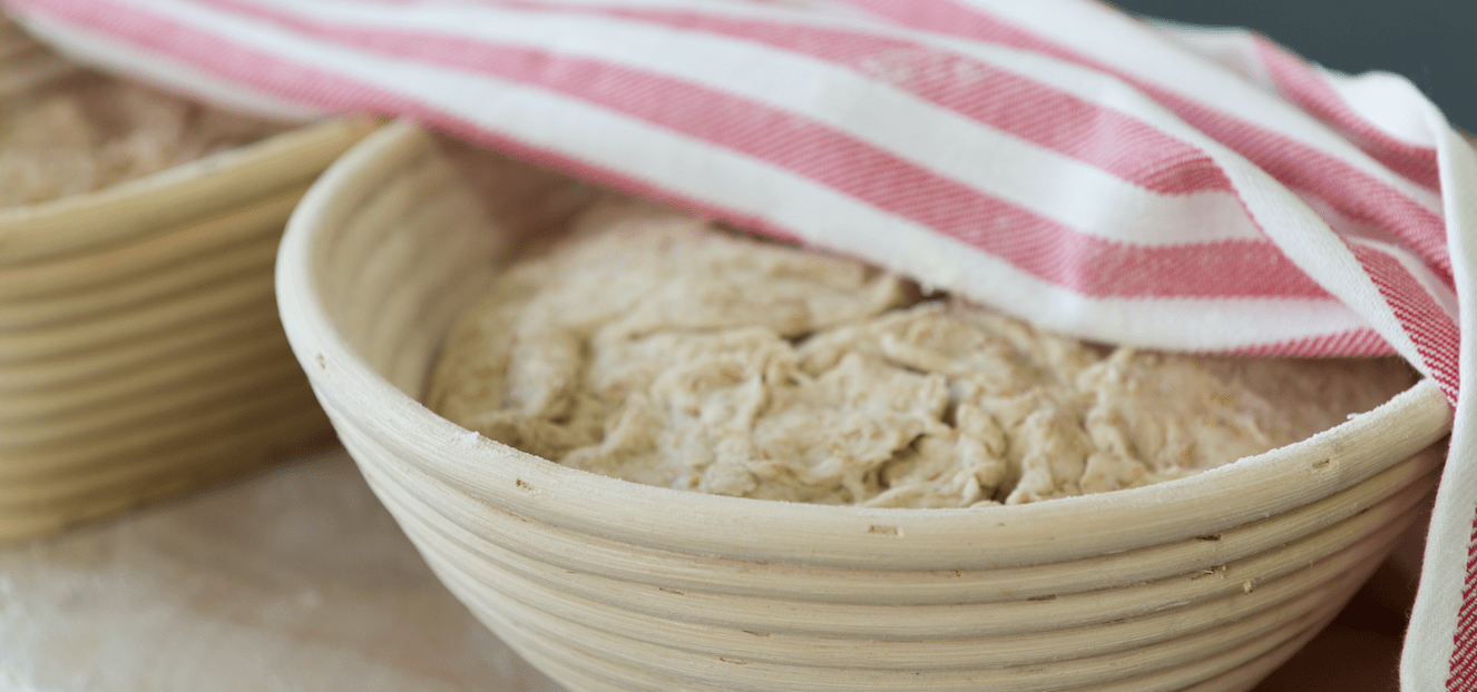 bread dough rising up in bannetons